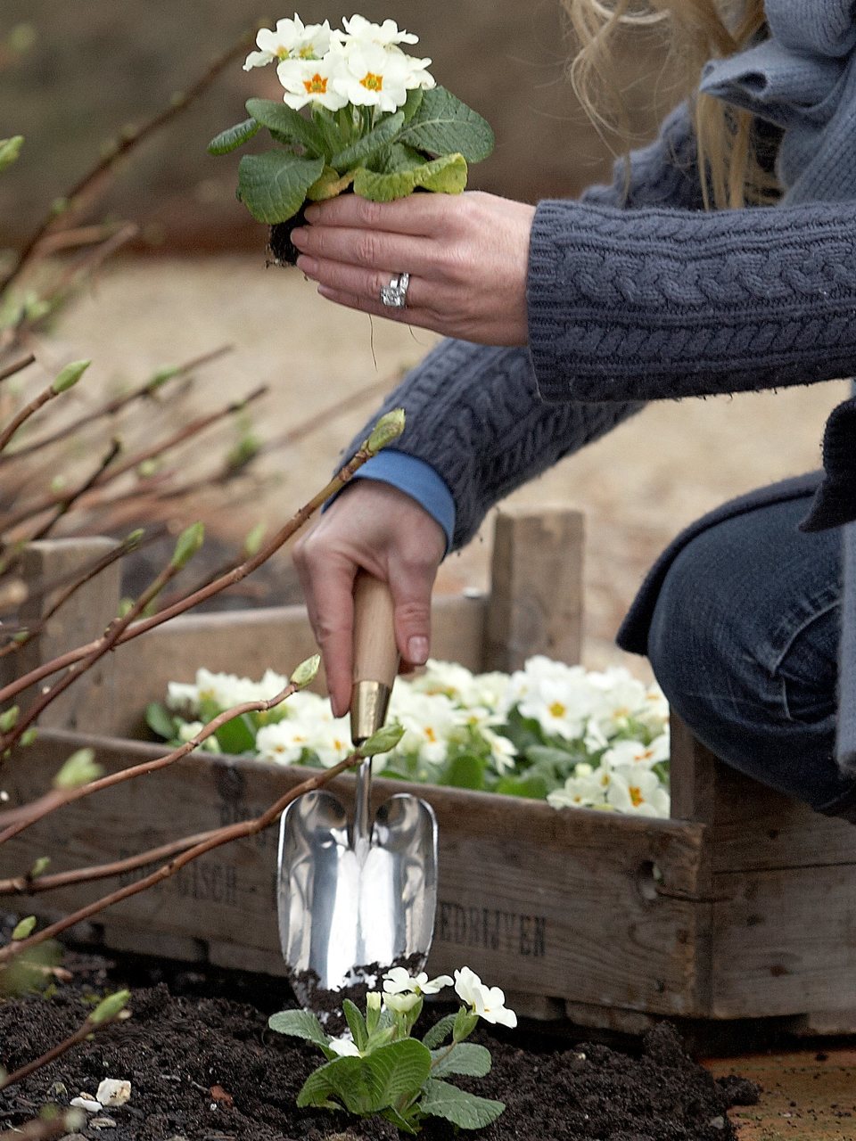 Gartenschaufel | Sophie Conran