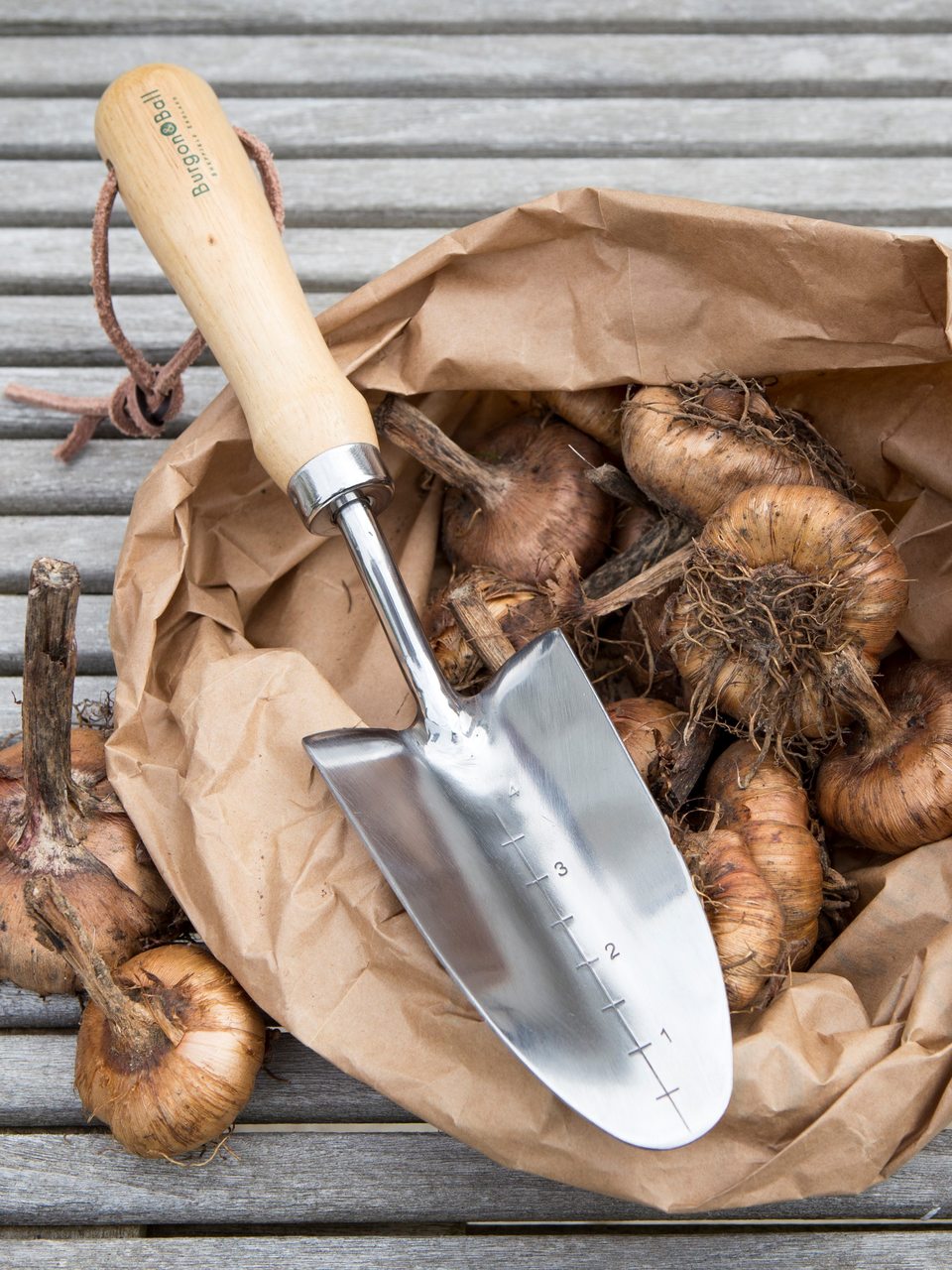 Pflanzkelle von Burgon & Ball | RHS-empfohlen