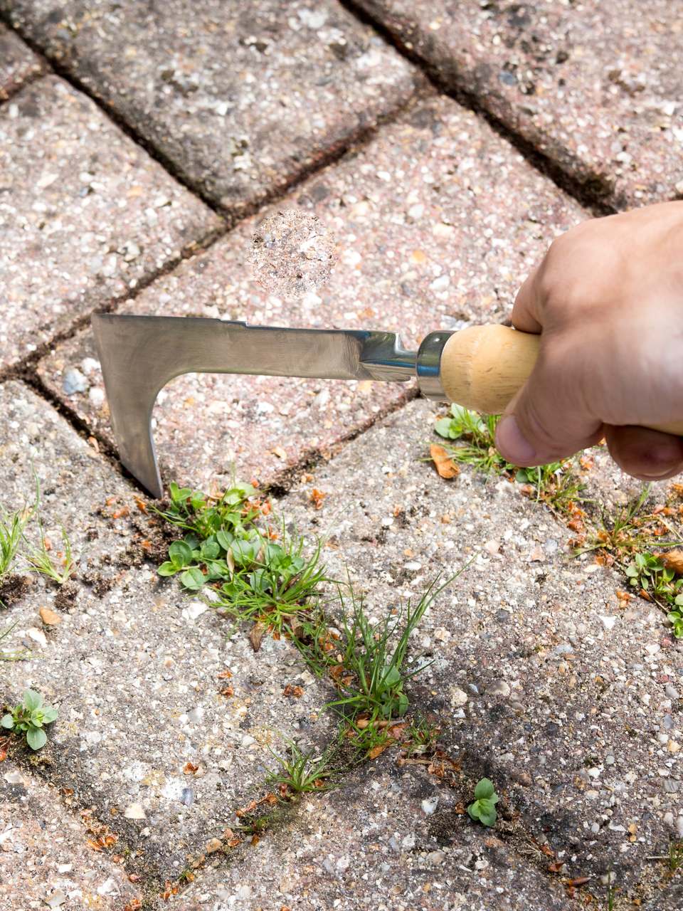 Fugenkratzer, kurzer Griff