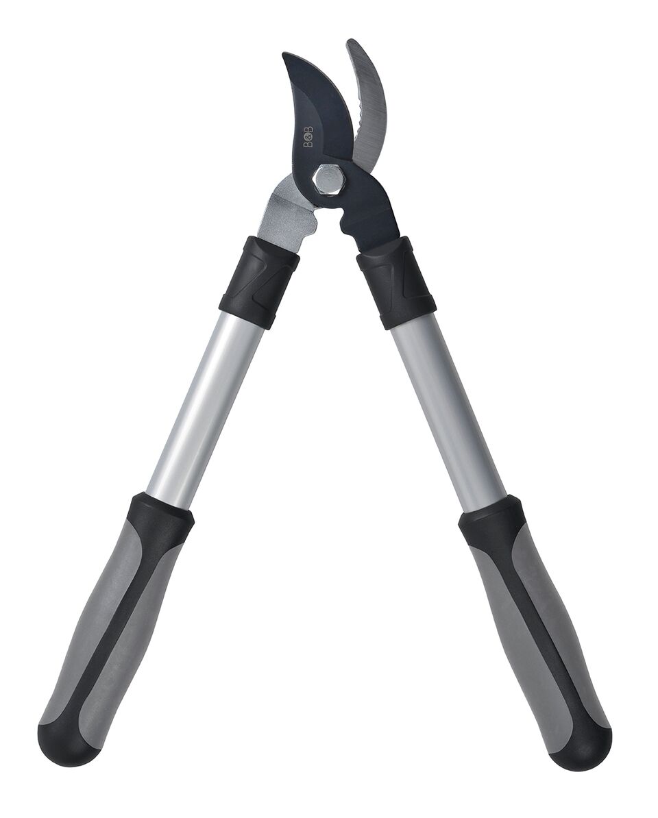 Kleine Bypass-Astschere geöffnet