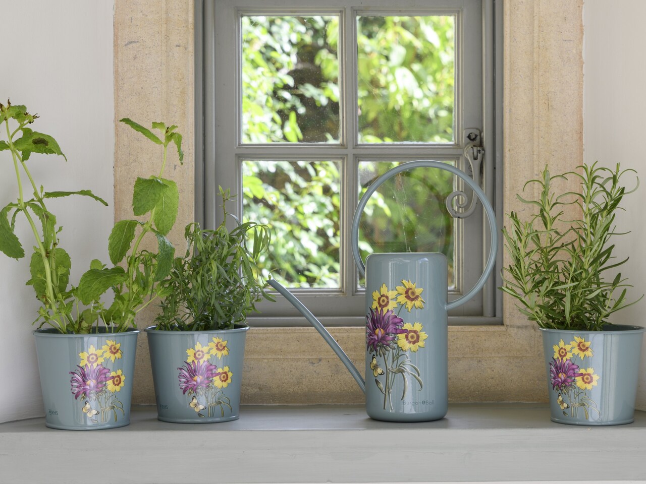 Sommeraster Kräutertöpfe und Zimmergießkanne