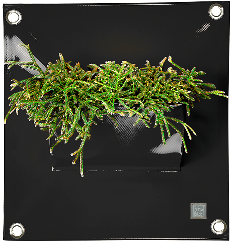 Hänge-Pflanztasche PEVA | Schwarz