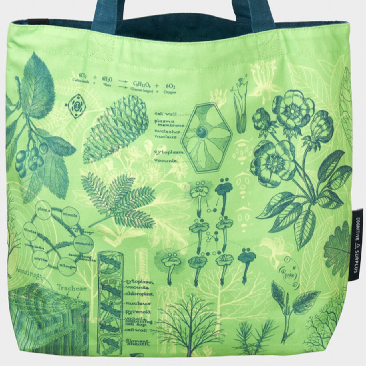 Botaniker | Tragetasche zum Wenden | 100% recyceltes Canvas | aus USA