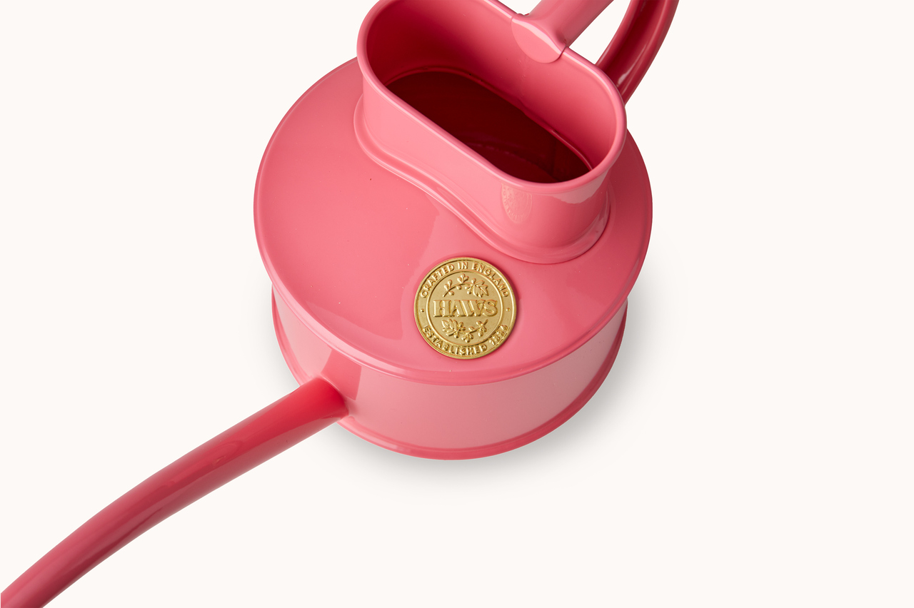 Haws Zimmergießkanne Pot Waterer 1 Pint von oben | Rosa Pfeffer