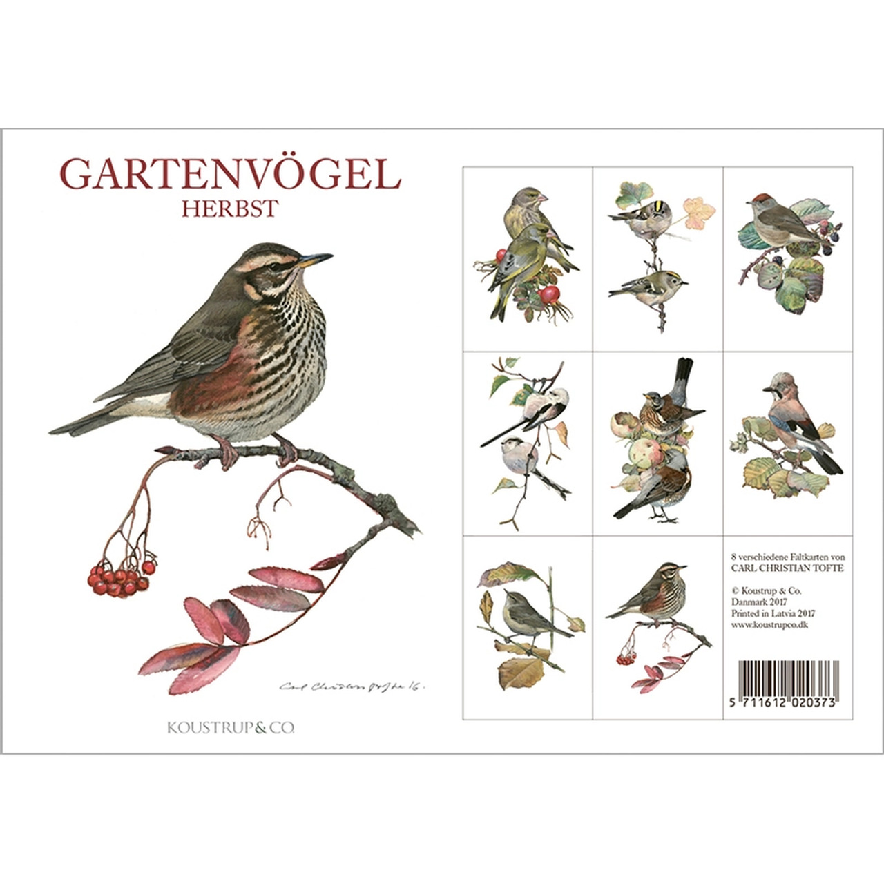 Vorder- und Rückseite der Kartenmappe | mit Illustrationen von Carl Christian Tofte | Karten aus umweltzertifiziertem FSC-Papier | Umschläge aus umweltfreundlichem Eukalyptuspapier
