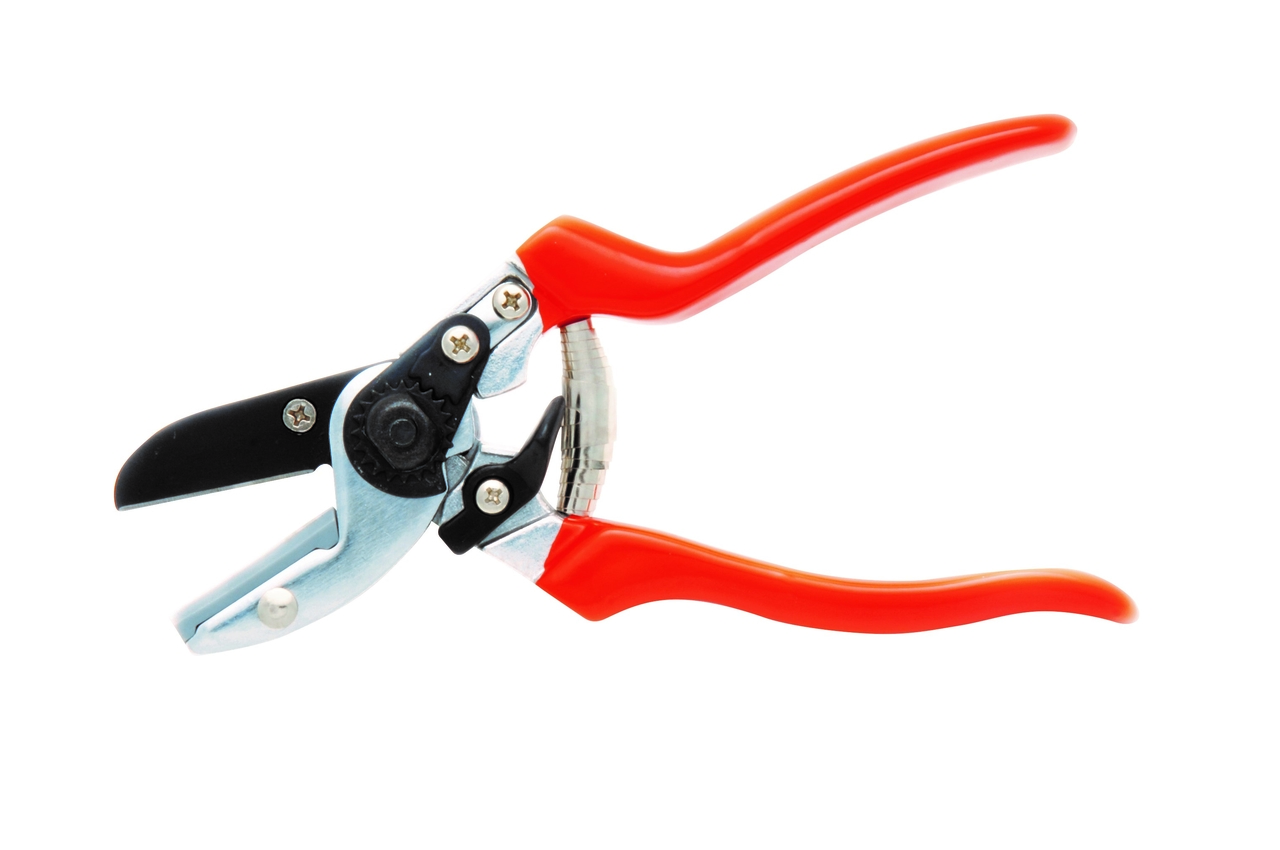 Standard Amboss-Schere von Burgon & Ball