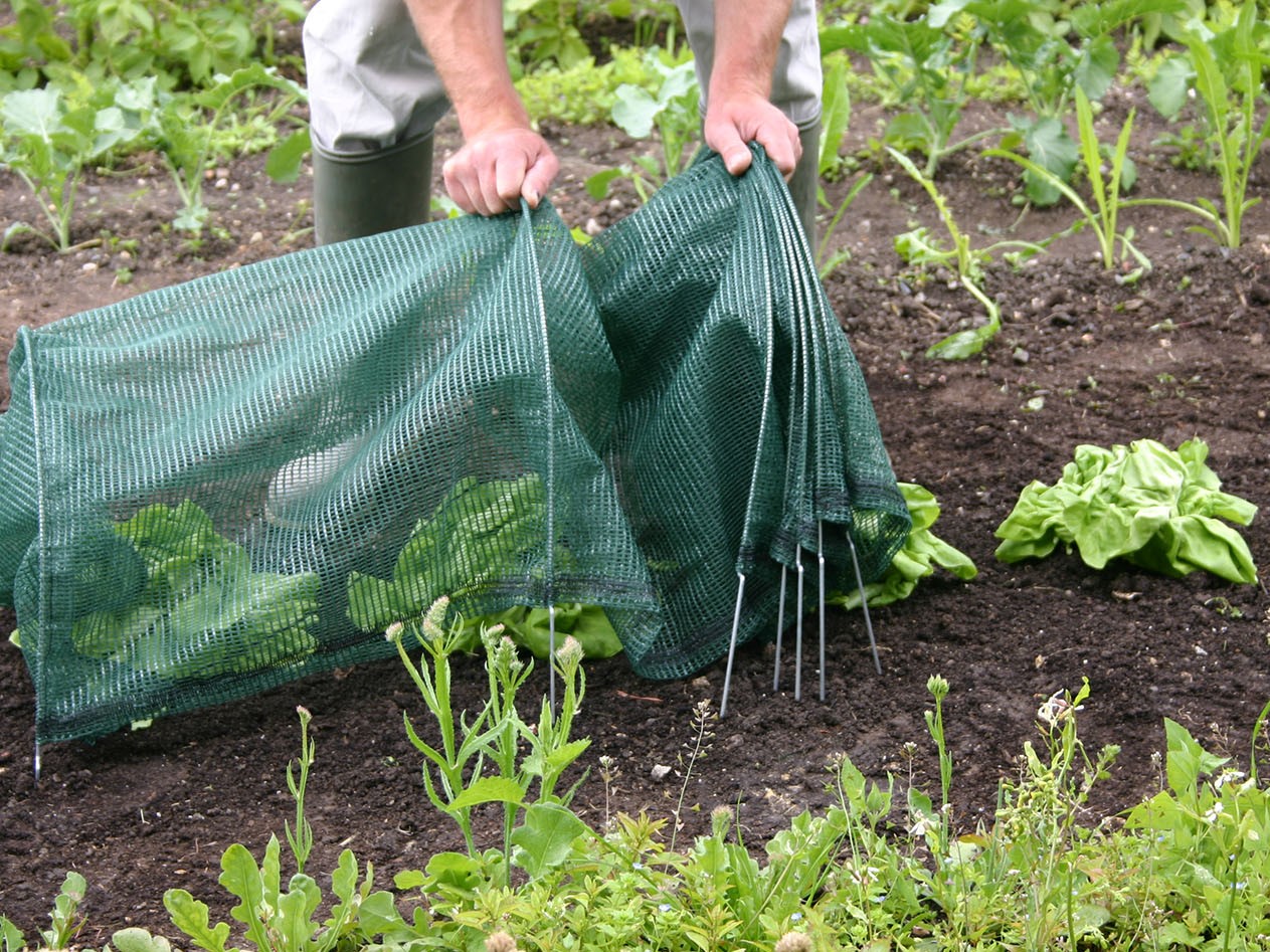 Leicht auf- und wieder abzubauen
