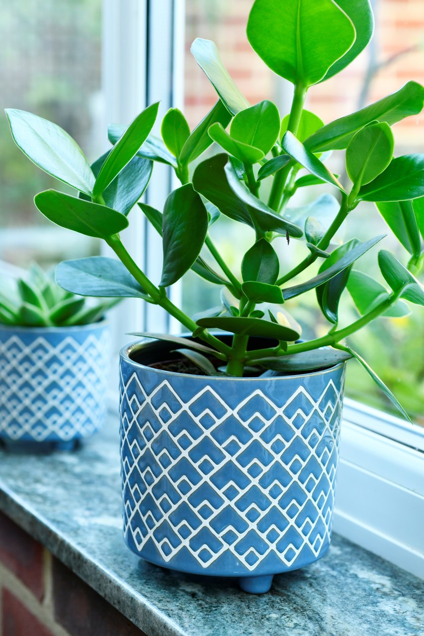 Burgon & Ball Indoor-Topf BILBAO BLAU | groß