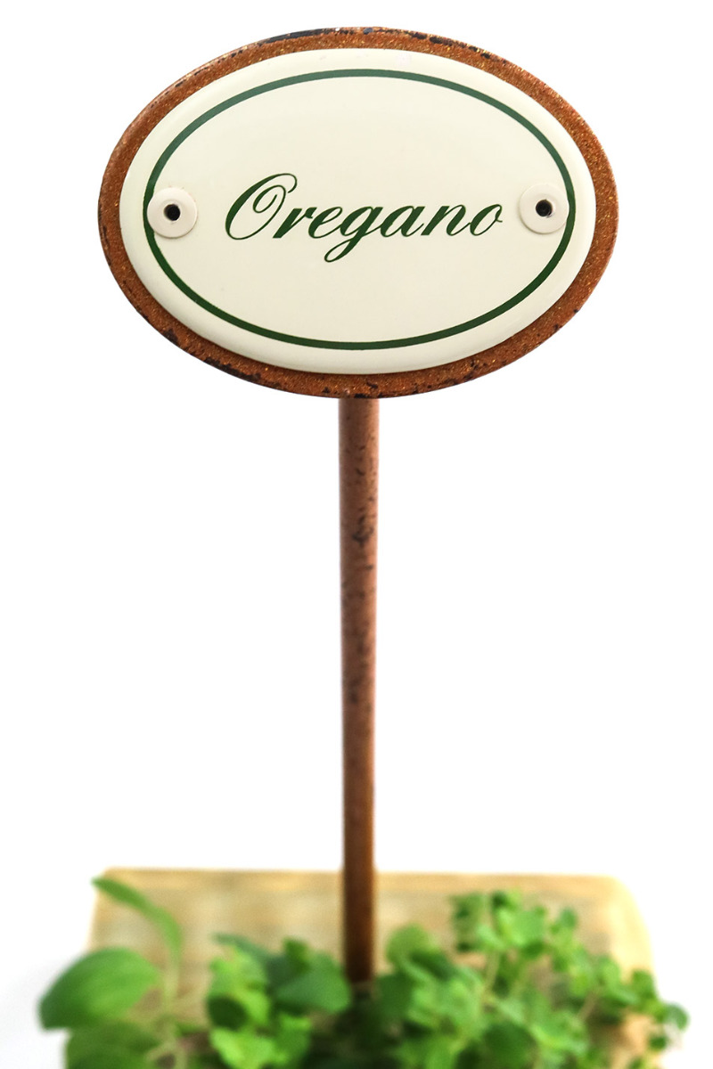 Kräuterstecker Oregano