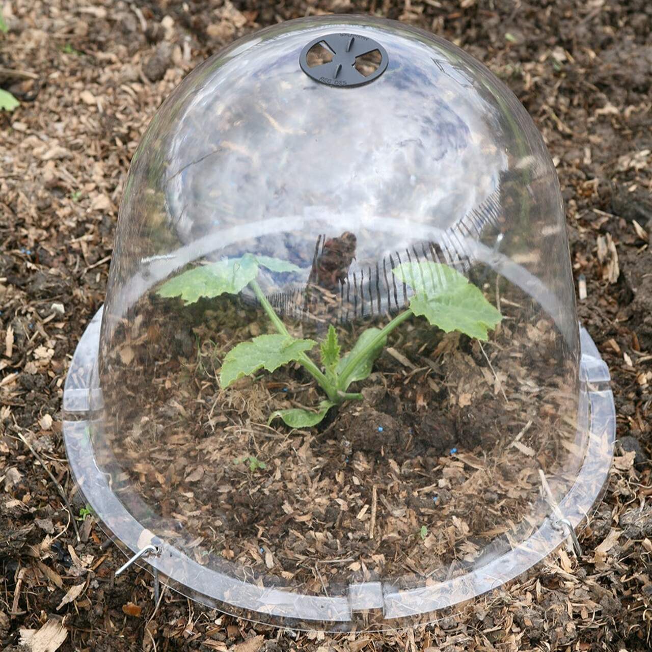 King Size Viktorianische Gartenglocken