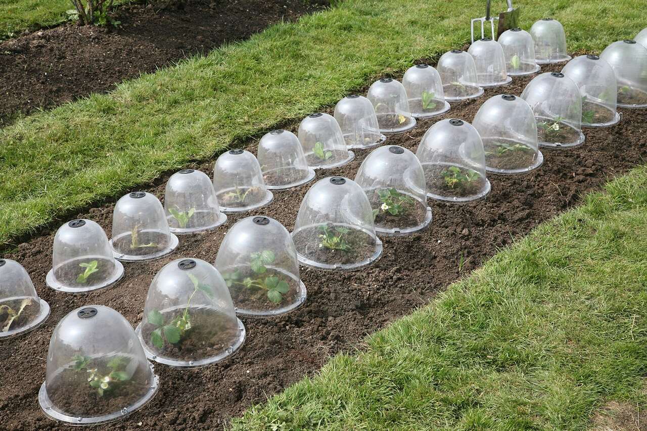 Originial Viktorianische Gartenglocken