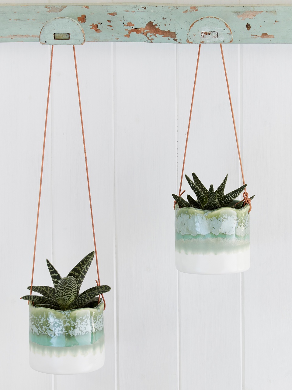 Hänge-Blumentöpfe 'Wave'