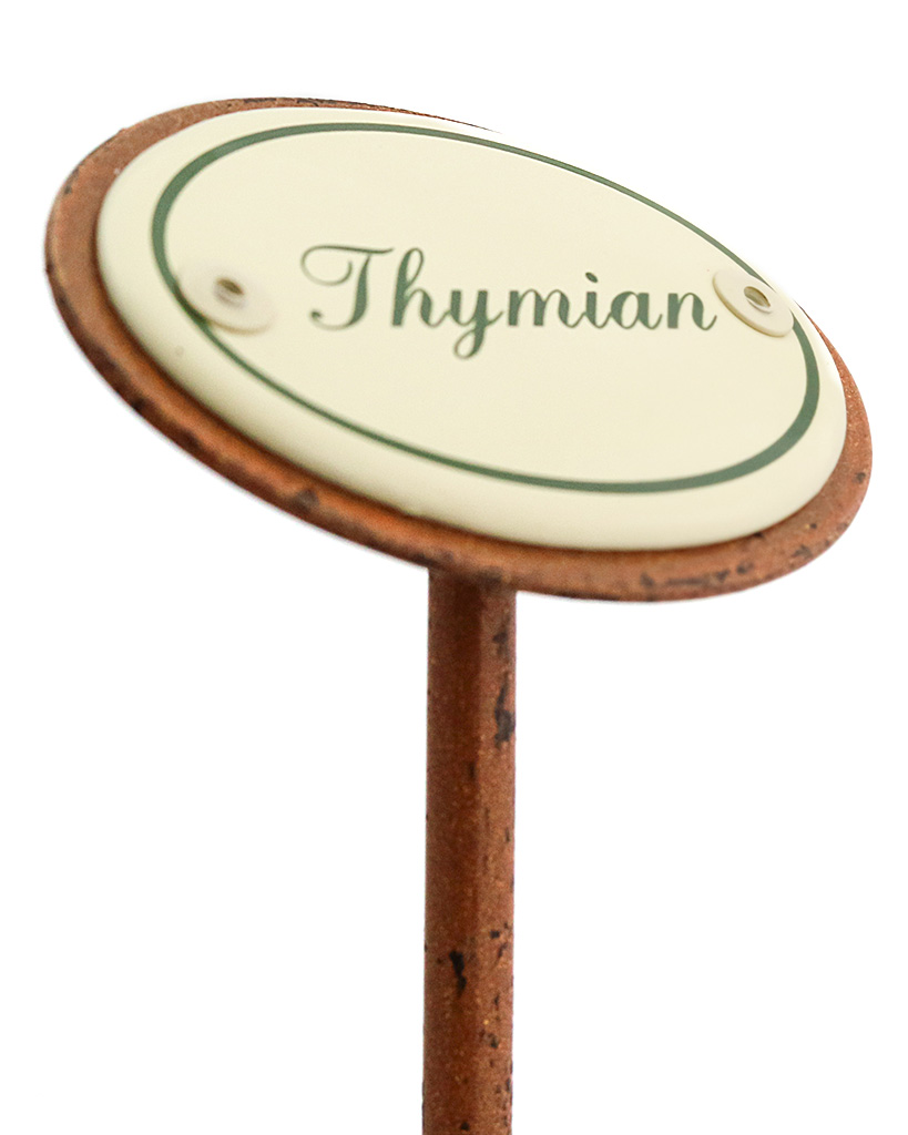 Kräuterstecker Thymian seitlich