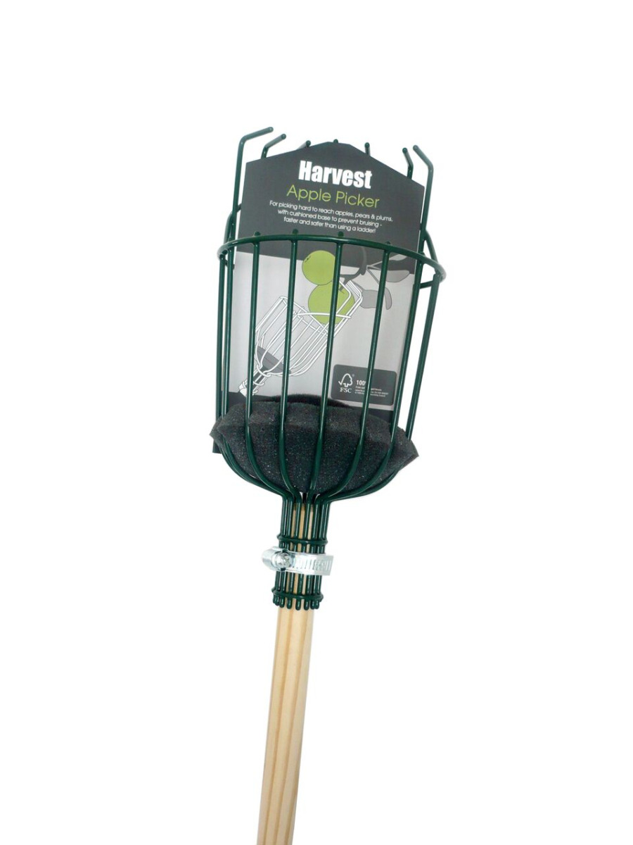 Obstpflücker | Apfelpflücker von Burgon & Ball