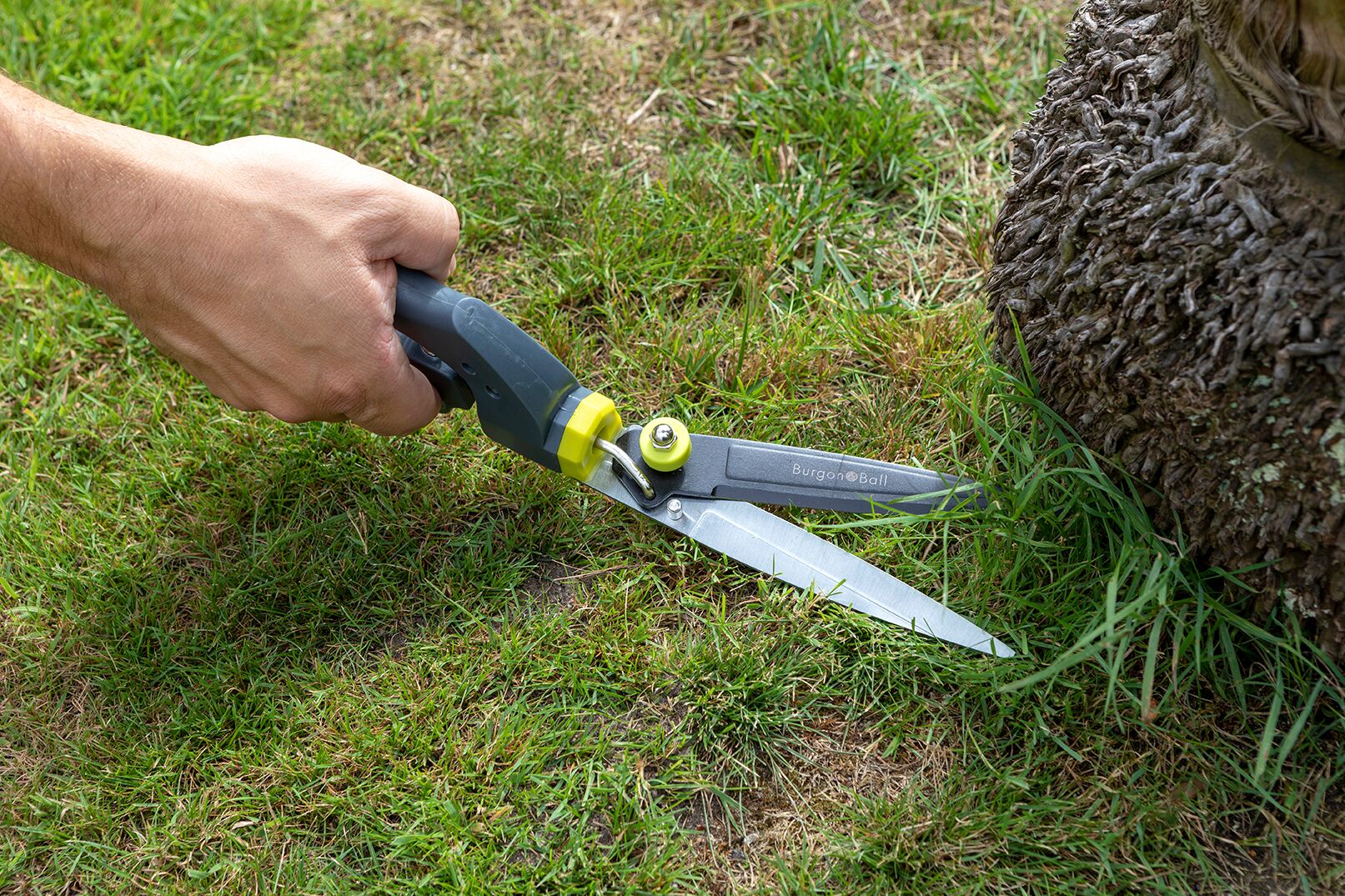 Grasschere / RHS - empfohlen