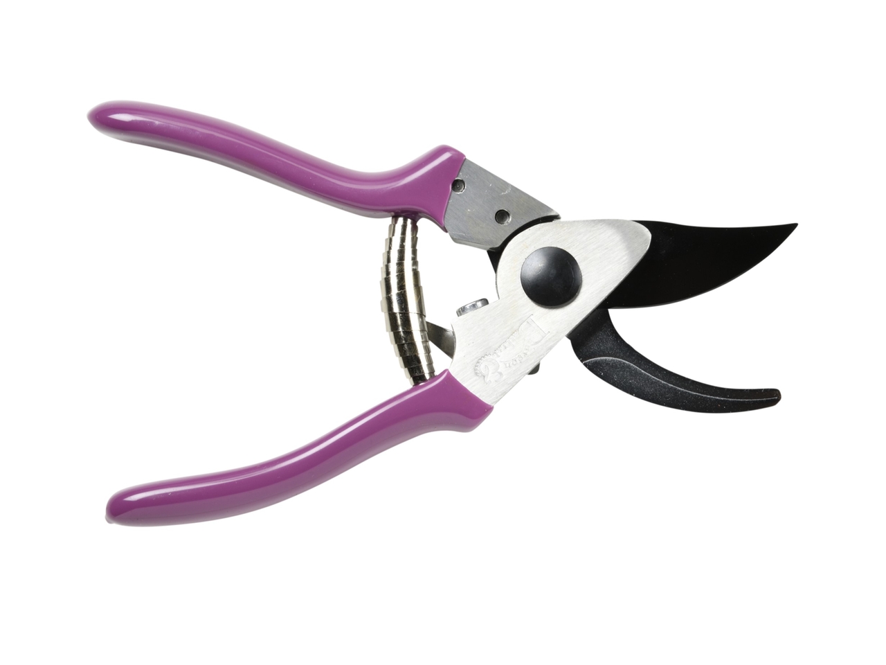 DIE KLEINE Sommeraster-Gartenschere | geöffnet