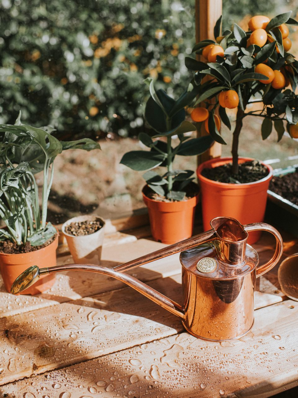 Haws Zimmergiesskanne Classic, aus Kupfer, 1 Liter
