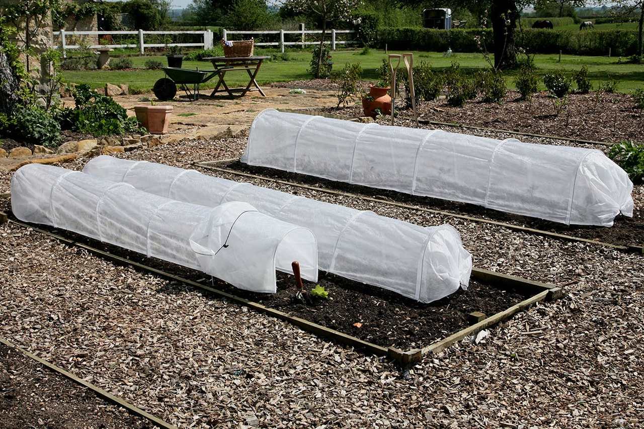 Easy Tunnels kann man nicht genug haben.