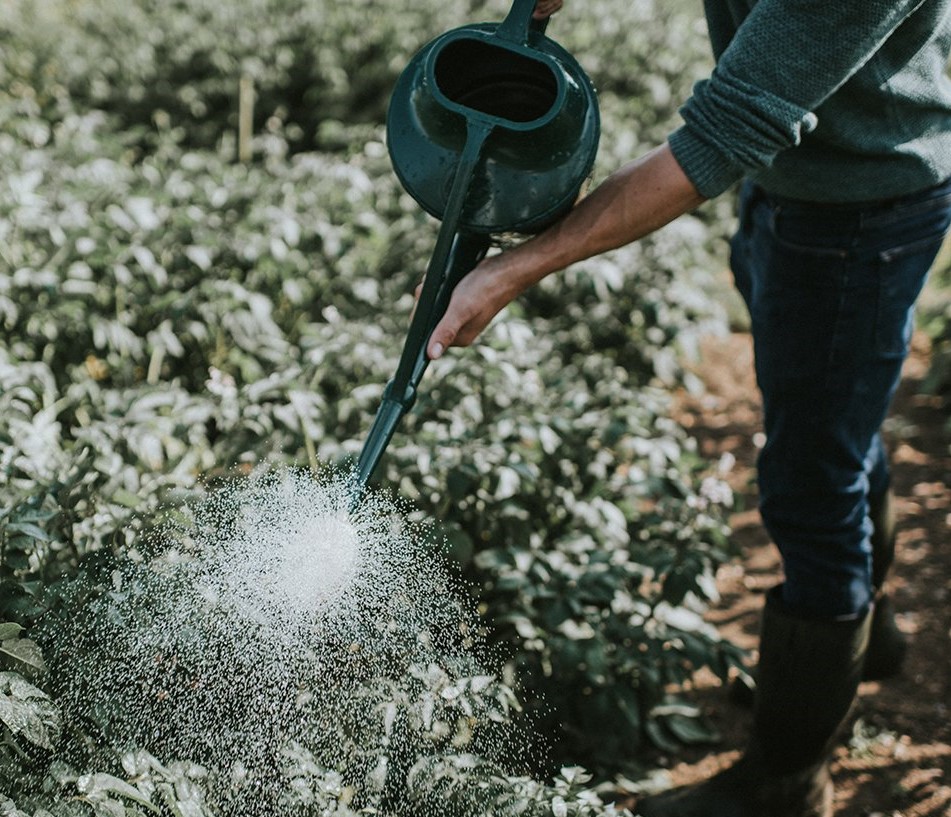 Kunststoff-Gießkanne Cascader | 1,5 Gallon - ca. 7 Liter