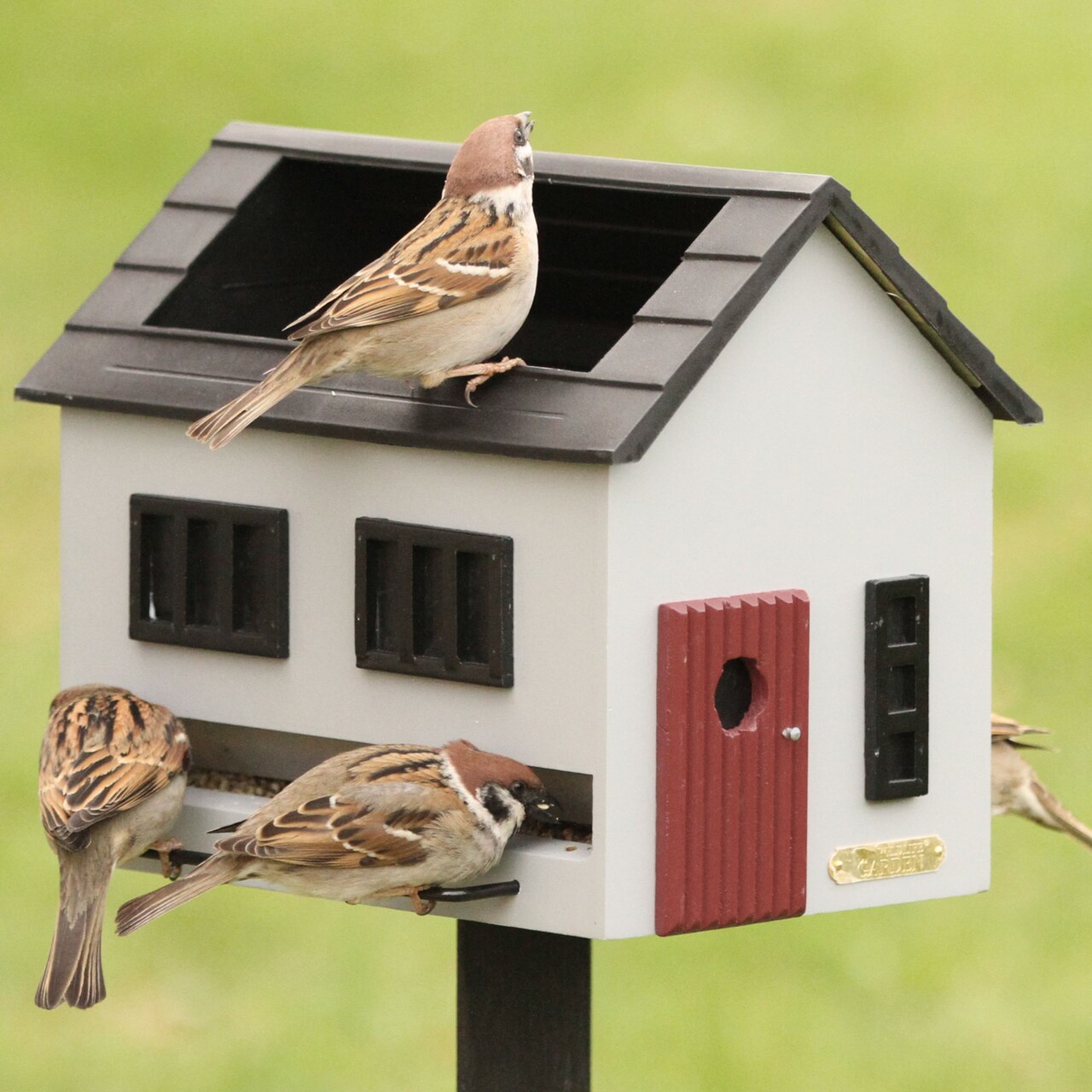 Graues Vogelfutter-Haus mit im Dach integriertem Wasserspender | von Wildlife Garden aus Schweden