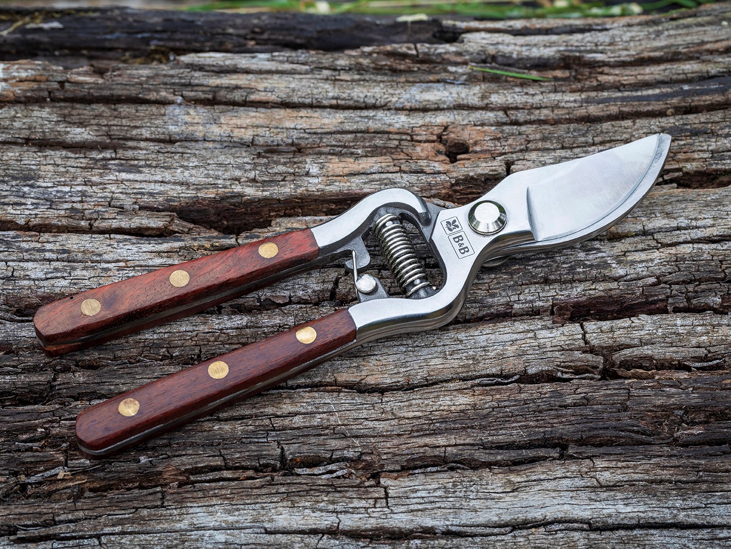 Gartenschere | National Trust von Burgon & Ball