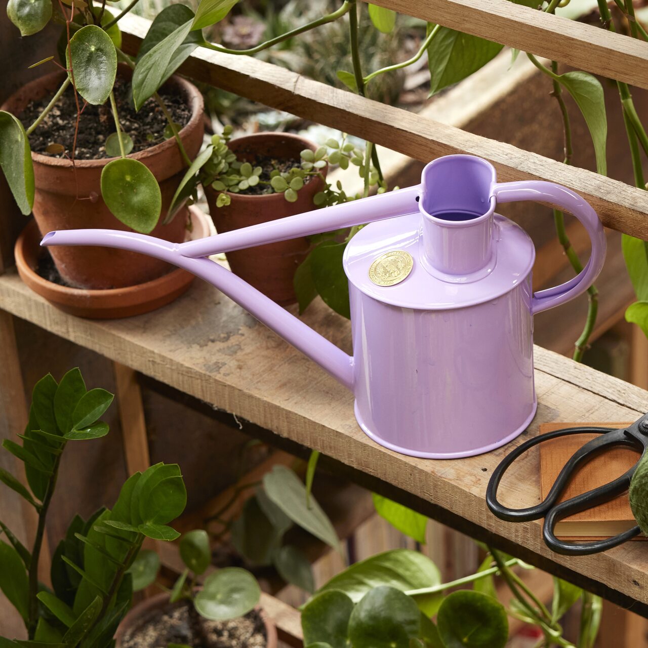 Haws Zimmergießkanne Pot Waterer 2 Pint | Flieder