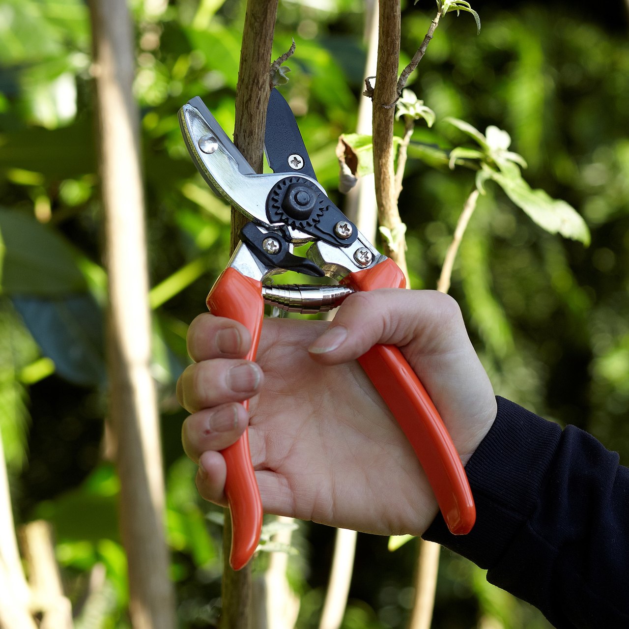 Standard Amboss-Schere von Burgon & Ball