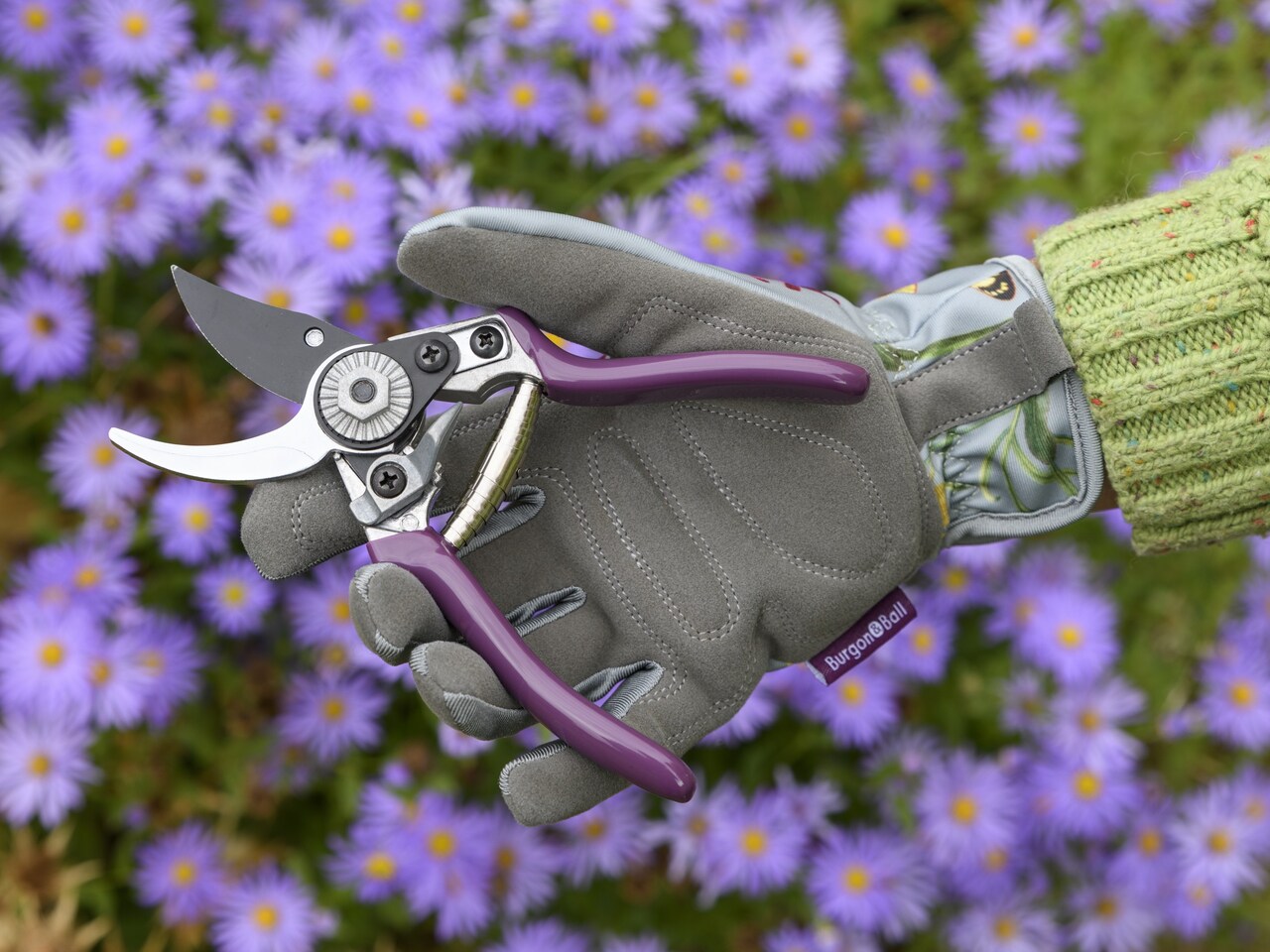 DIE KLEINE Sommeraster-Gartenschere