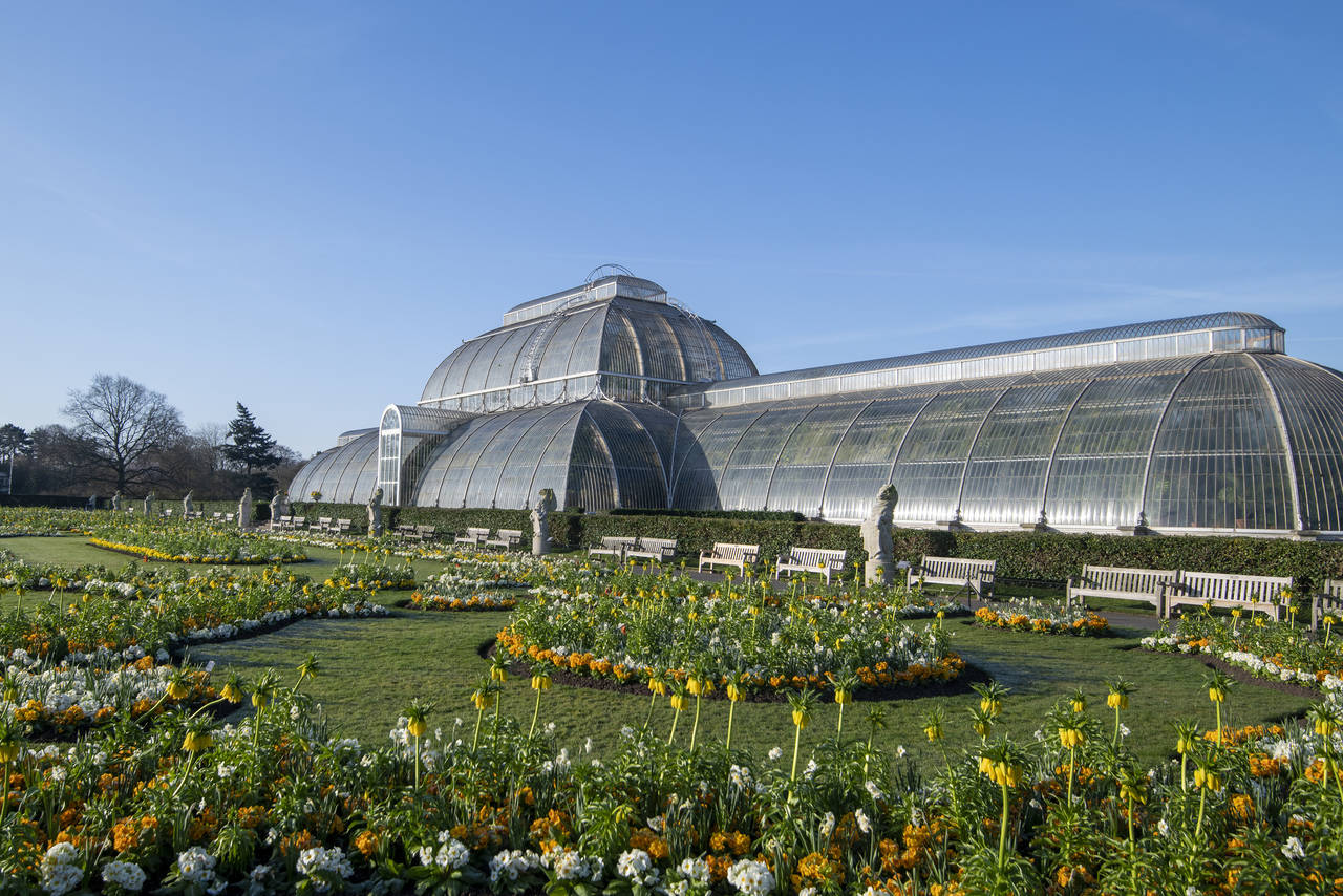 Royal Botanic Gardens, Kew - Palm House