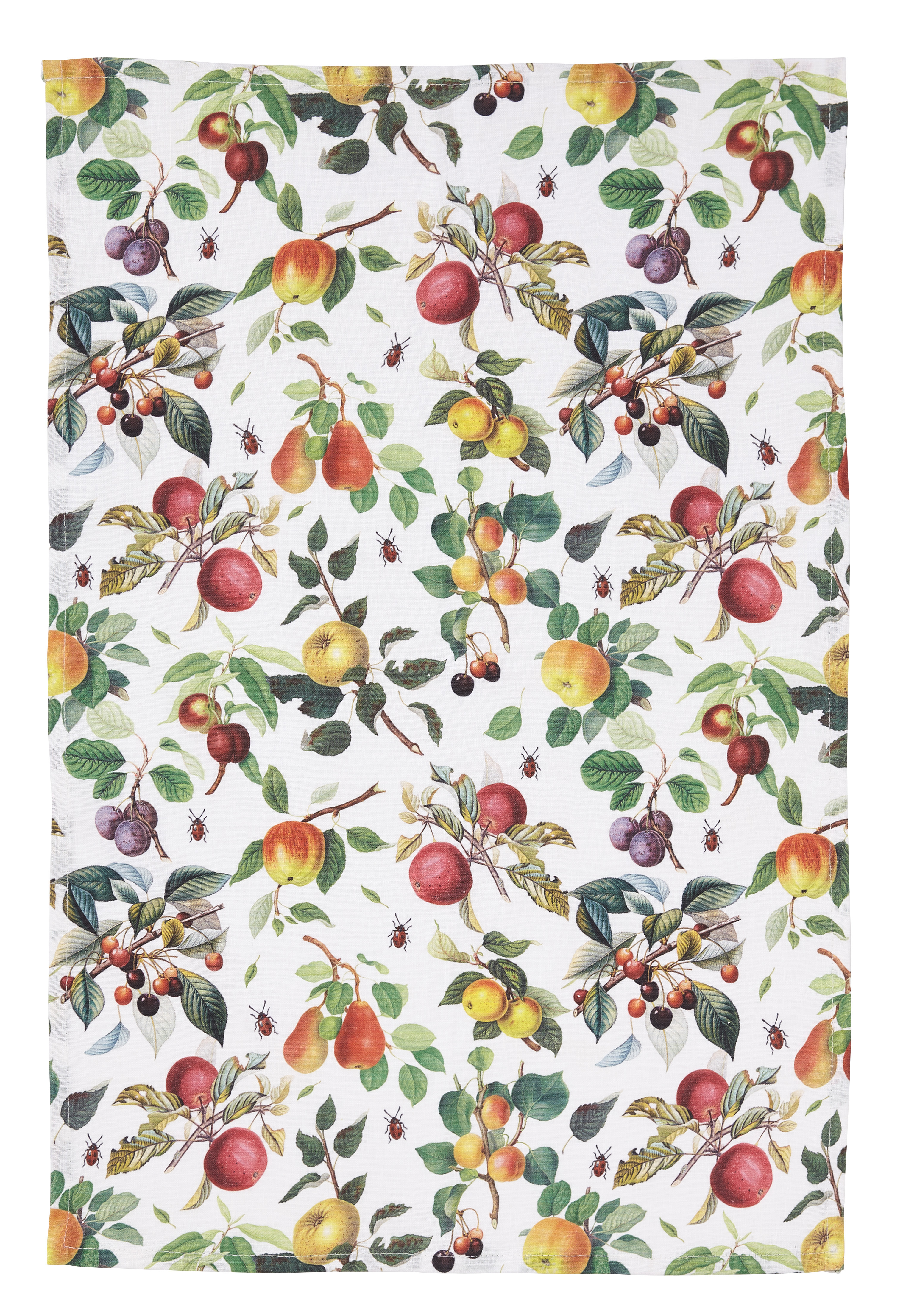 Geschirrtuch Früchte | RHS