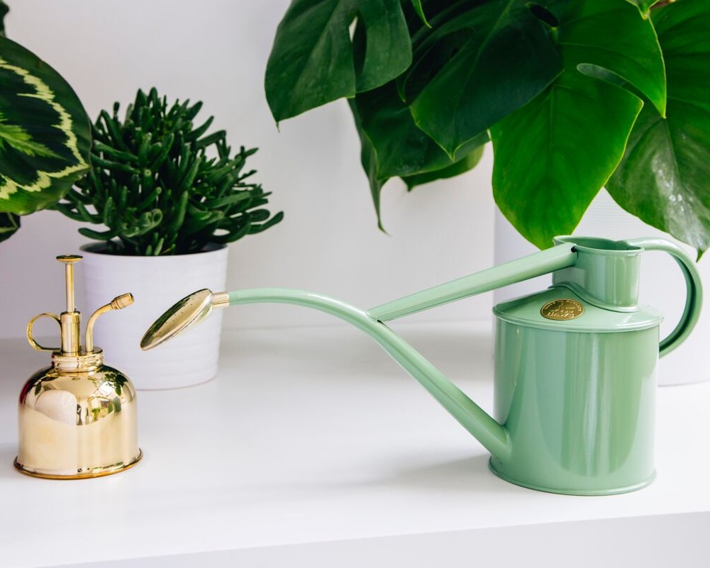 Haws Watering-Kit | Geschenkset | Salbeigrün & Feinzerstäuber Messing