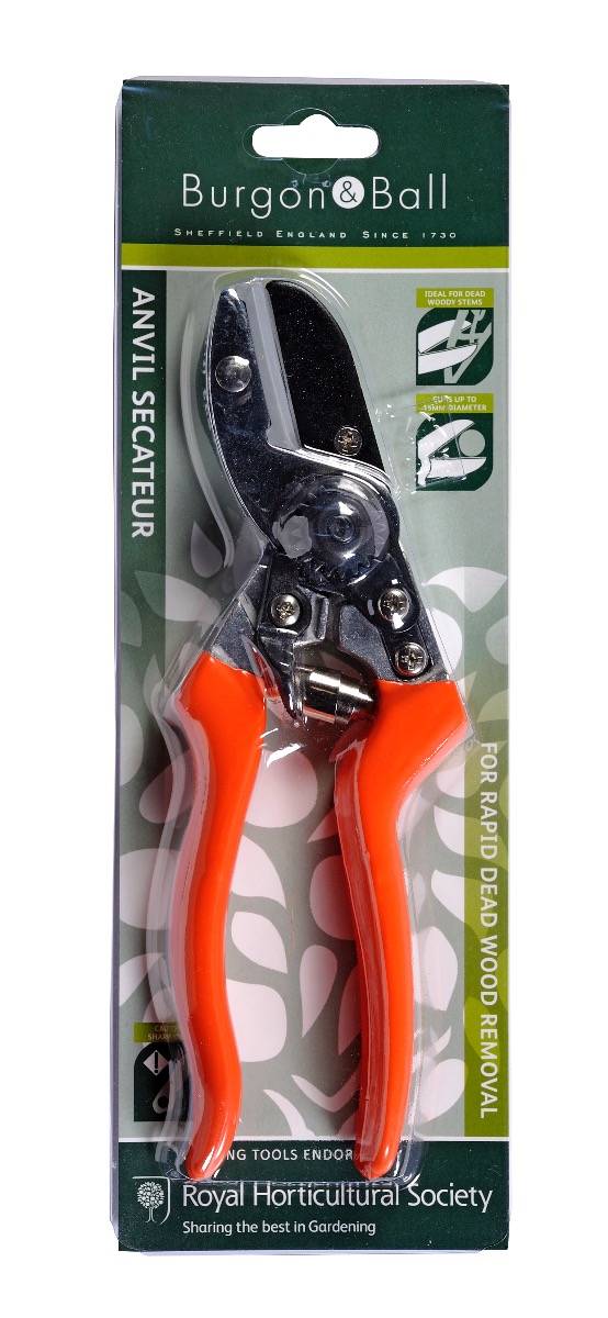 empfohlen von der Royal Horticultural Society: Amboss-Schere von Burgon & Ball
