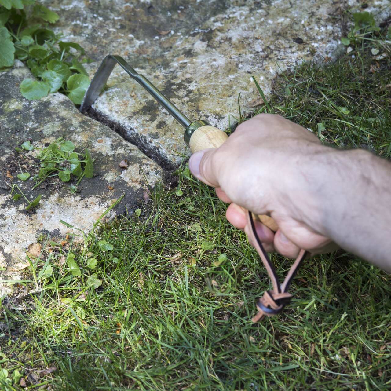 Jätefinger - praktisch, um in schmalen Zwischenräumen, hier z. B. zwischen Pflastersteinen zu jäten