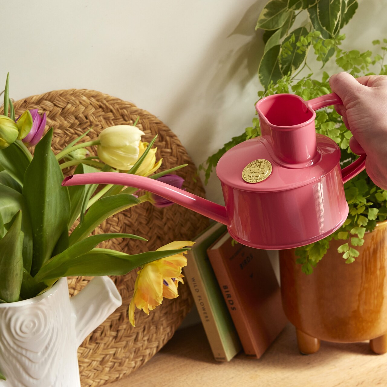 Haws Zimmergießkanne Pot Waterer 1 Pint | Rosa Pfeffer