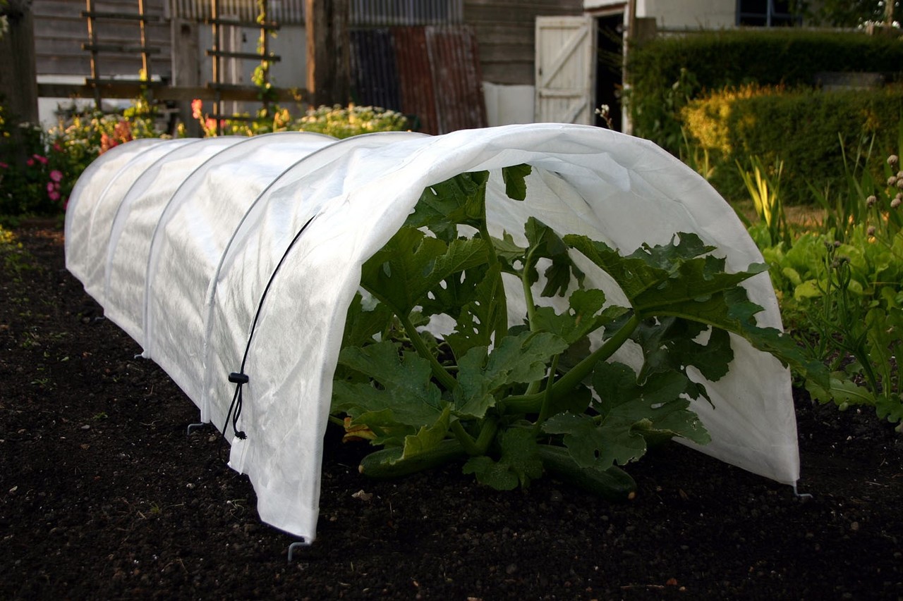 Easy Pflanztunnel Fleece, von Haxnicks