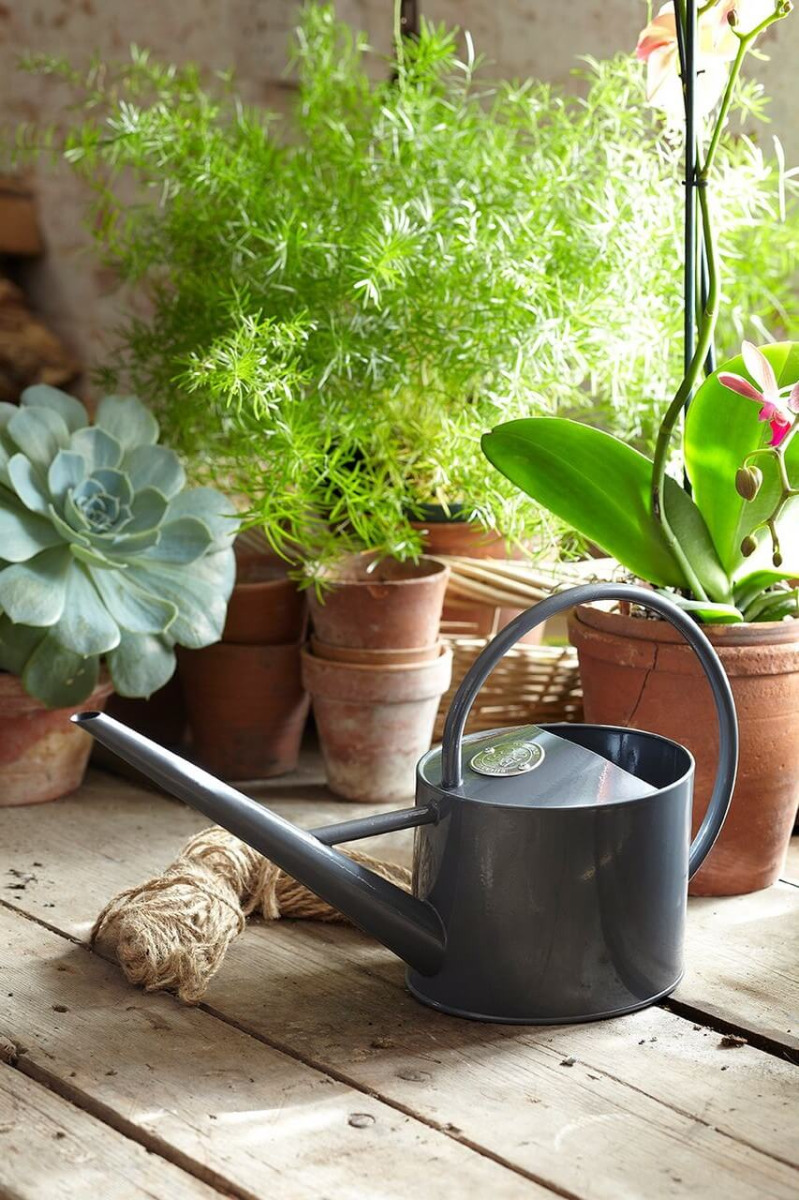 Sophie Conran Wintergarten- u. Zimmergiesskanne in Grau