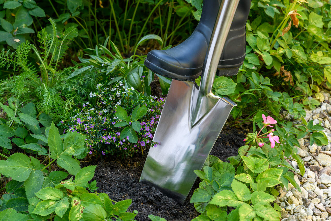 Pflanzspaten aus Edelstahl | mit praktischer Trittkante | von Burgon & Ball