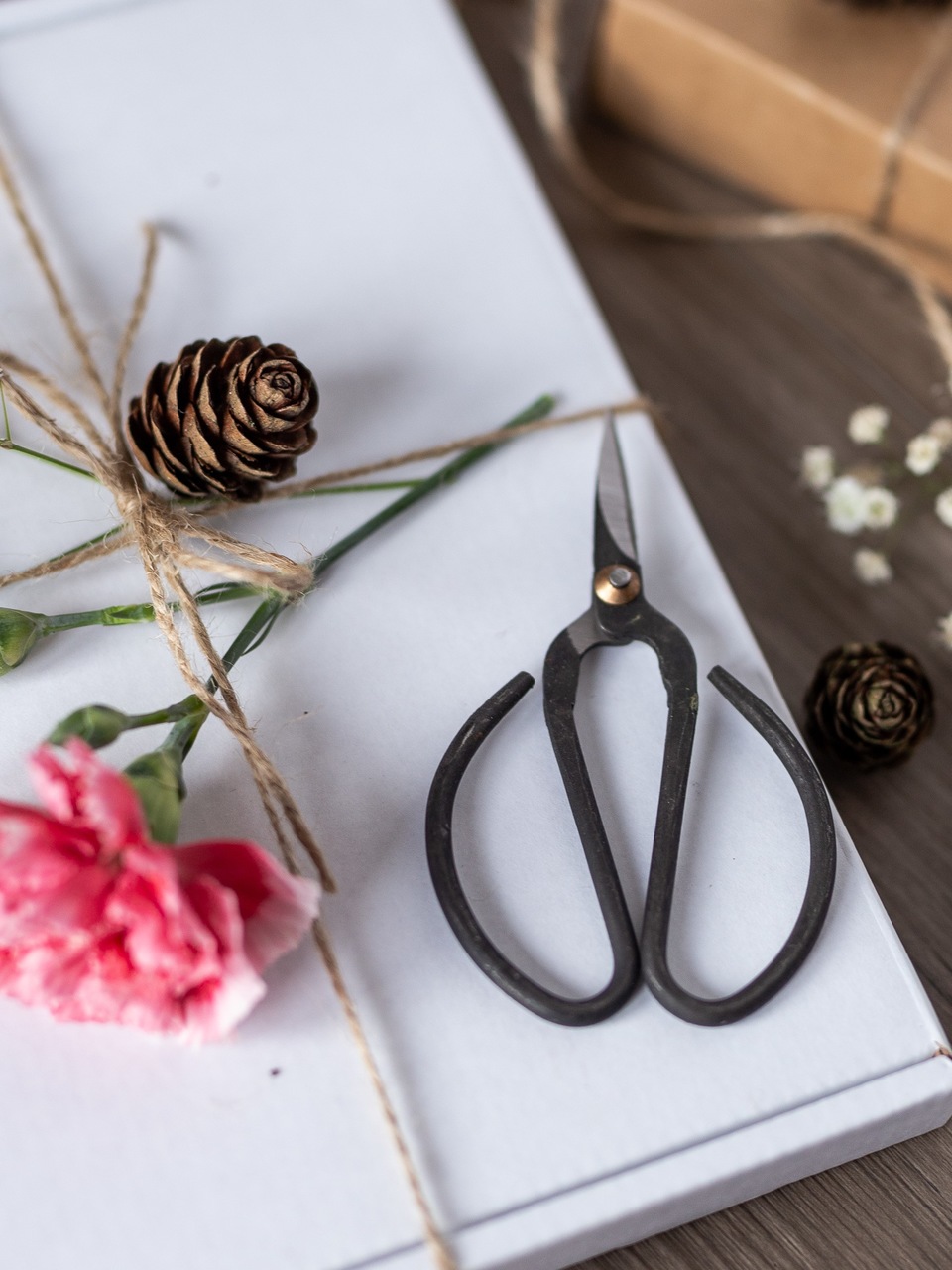 Vintage Butterfly-Schere | von Nutscene