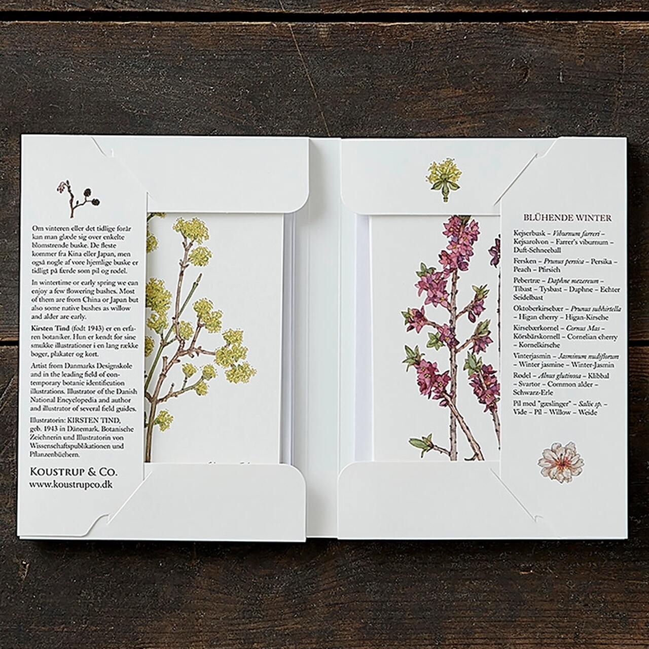 Die aufgeklappte Kartenbox | auf jeder Seite 4 Grußkarten mit 4 passenden Umschlägen | links Informationen zu Kirsten Tind - rechts eine Liste der Sträucher incl. botanischer Bezeichnung