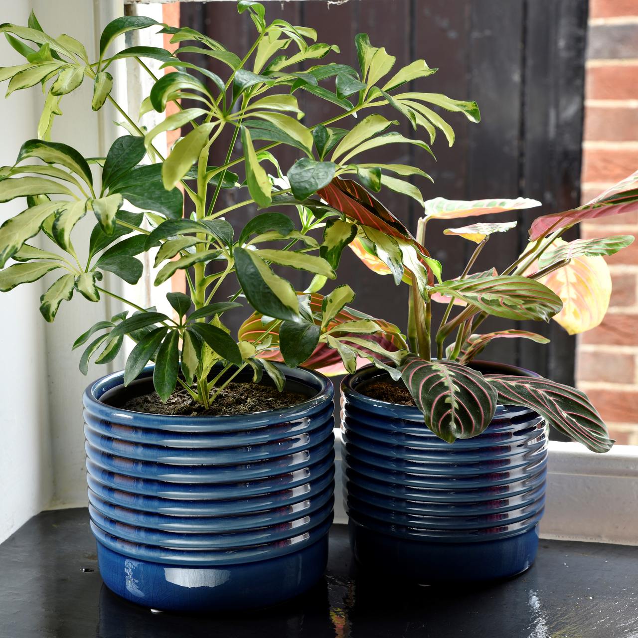 Satt blau glänzende Indoor-Töpfe OSLO | groß und klein