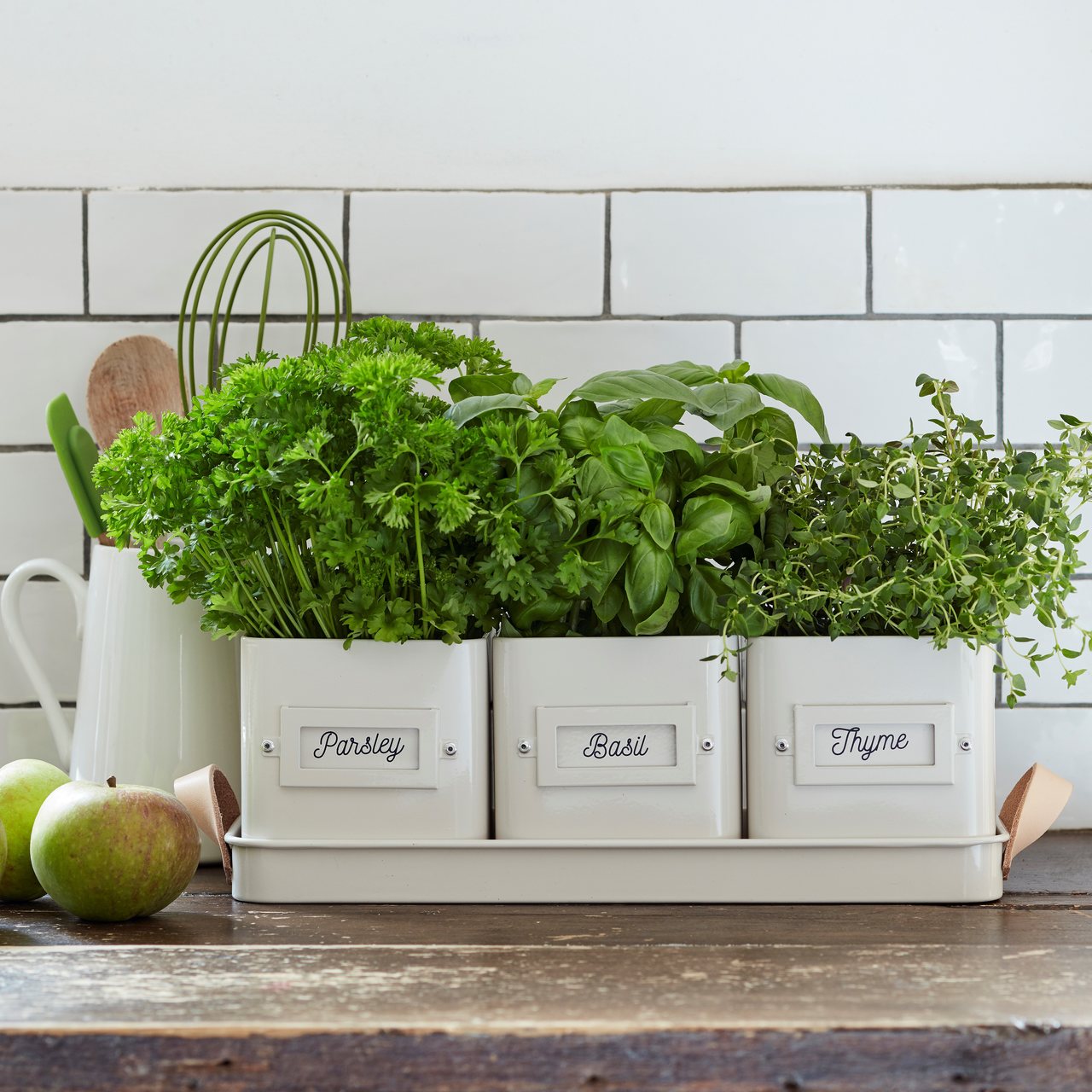 Burgon & Ball | Herb Pots in a Tray | Cream