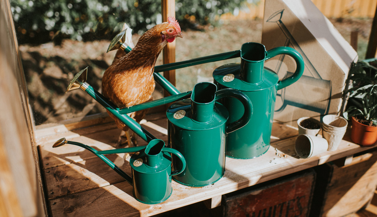 Haws Traditional Cans 1 und 2 Gallon | Haws Classic Zimmergießkanne