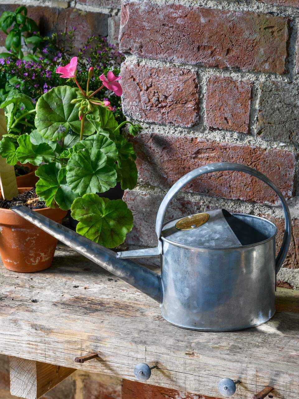 Verzinkte Sophie Conran Zimmer- und Gewächshaus-Gießkanne