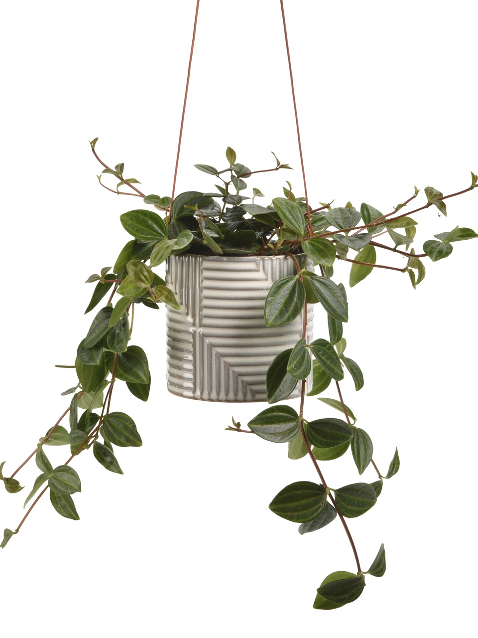 Hangetopf Modena