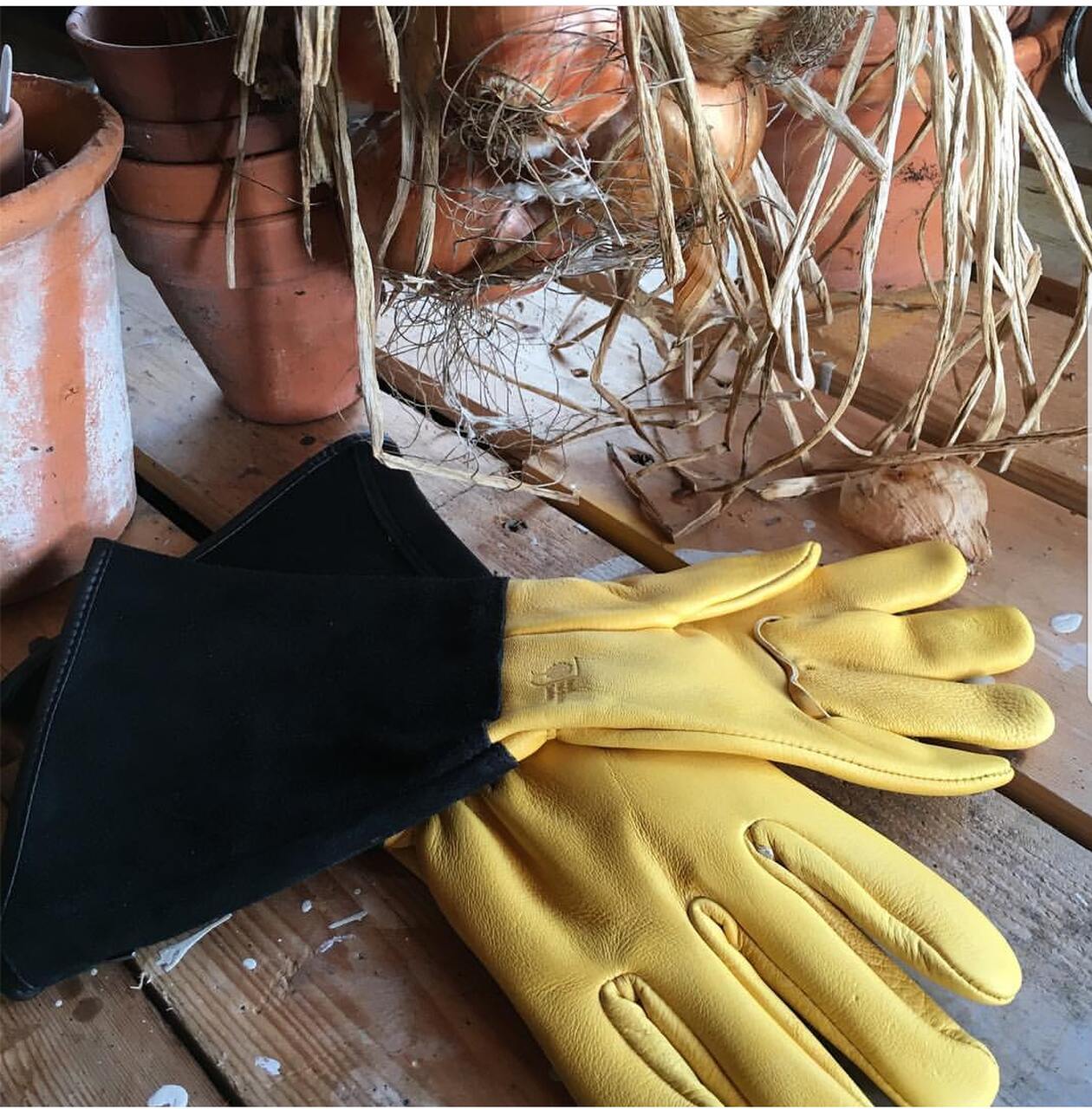 OZERO Gartenhandschuhe Dornenfest Herren Damen, Arbeitshandschuhe Leder | aus Rindsleder mit Gummibund, ungefüttert - für Rosenschnitt, Brombeeren OZERO Gartenhandschuhe Dornenfest Herren Damen, Arbeitshandschuhe Leder | aus Rindsleder mit Gummibund, ungefüttert - für Rosenschnitt, Brombeeren