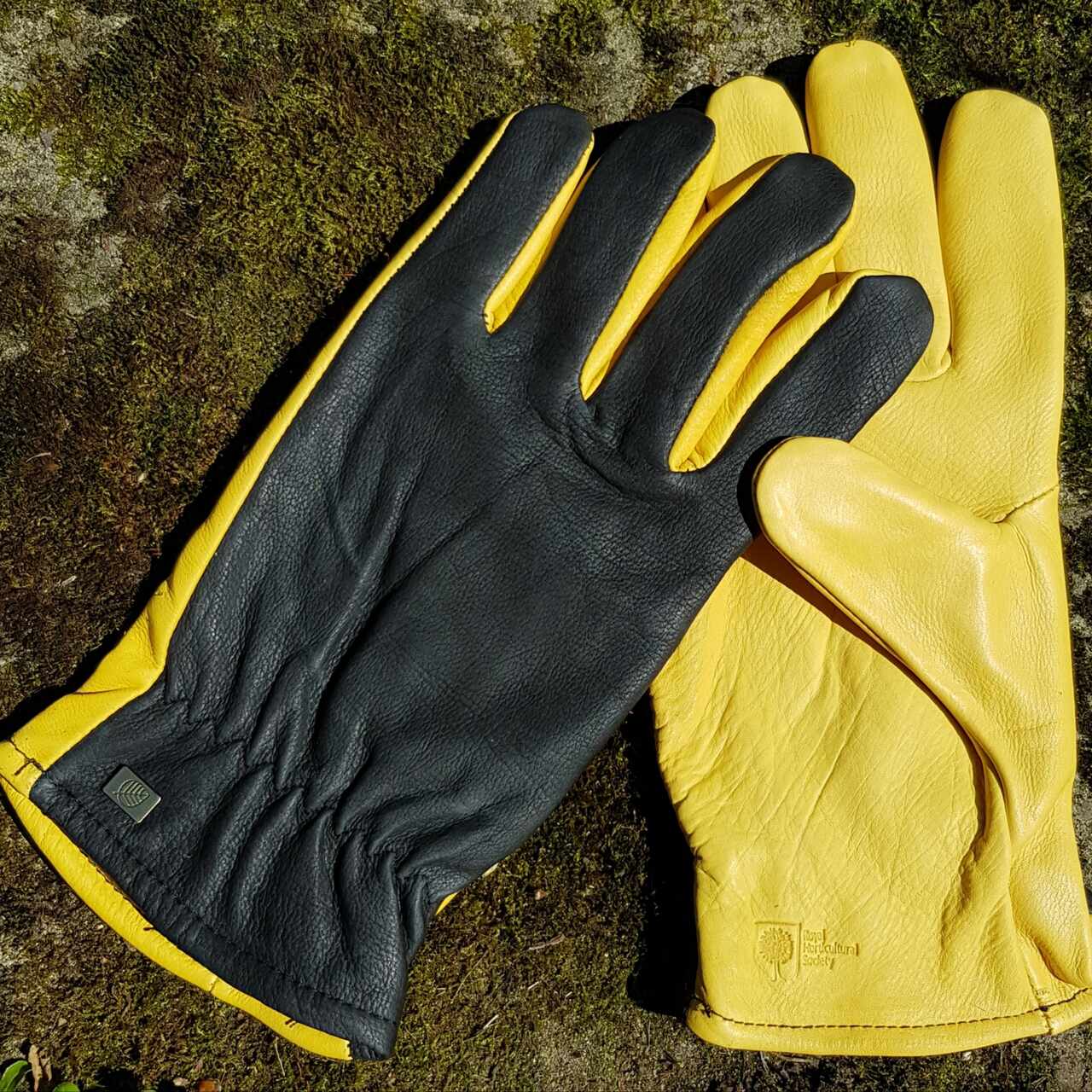 Dry Touch™ | Gold Leaf Gartenhandschuhe aus Leder | RHS-empfohlen