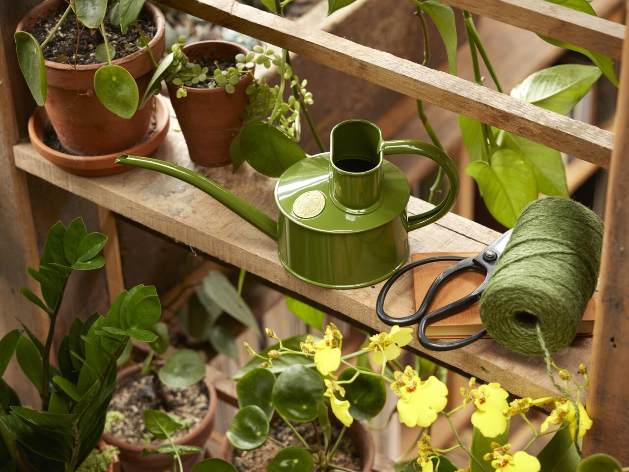 Haws Zimmergießkanne Pot Waterer 1 Pint | Farngrün