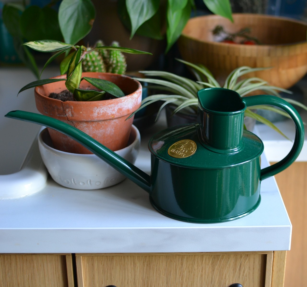 Pot Waterer 1 Pint, royalgrün