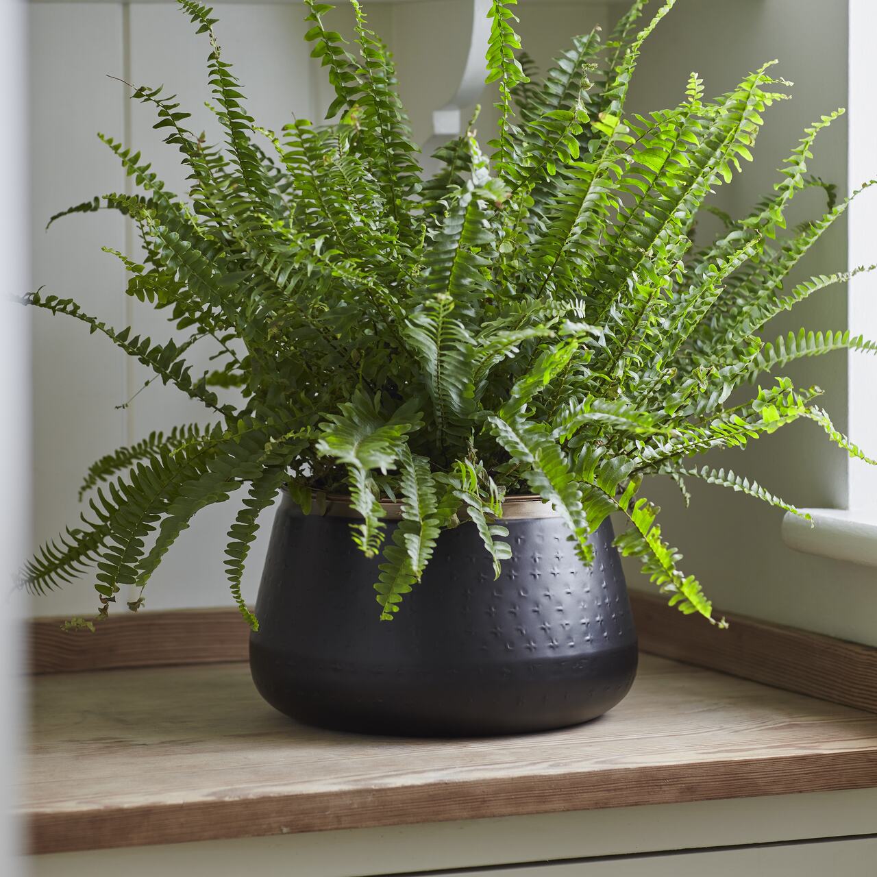 Metall-Übertopf SAHARA SUNSET - groß