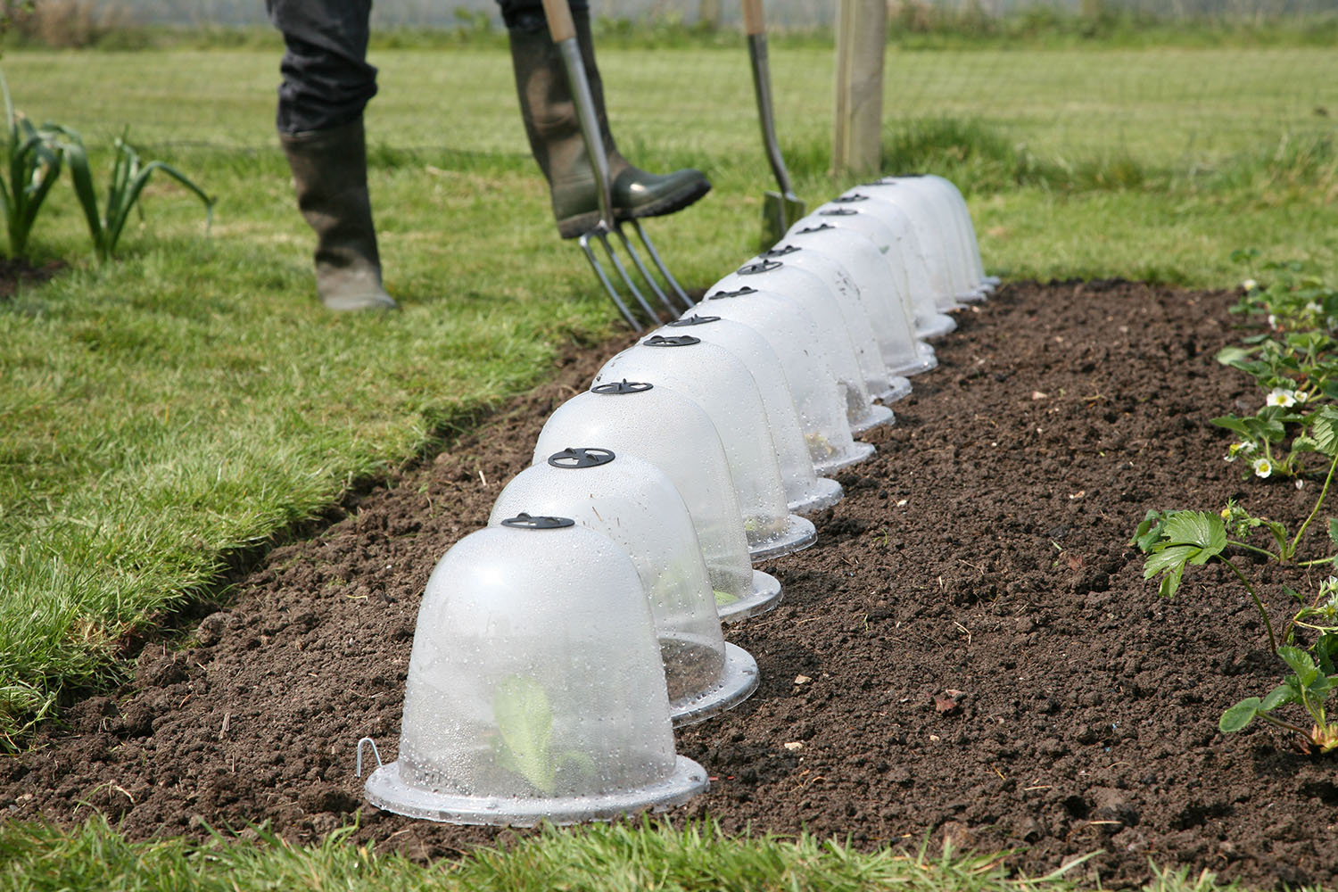 Kleine Viktorianische Gartenglocken